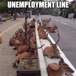 Oh Deer | AFTER CHRISTMAS
UNEMPLOYMENT LINE | image tagged in oh deer | made w/ Imgflip meme maker