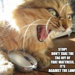 angry cat | STOP! DON'T TAKE THE TAG OFF OF THAT MATTRESS. IT'S AGAINST THE LAW!! | image tagged in angry cat | made w/ Imgflip meme maker