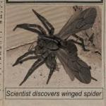 Winged Spider