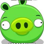 Angry Birds Pig | EAT FRIENDS; NOT BACON!!!!!! | image tagged in memes,angry birds pig | made w/ Imgflip meme maker