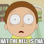 Stunned Morty | WHAT THE HELL IS THAT? | image tagged in stunned morty,morty | made w/ Imgflip meme maker