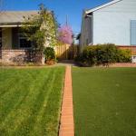 Greener Grass Could Be Astroturf