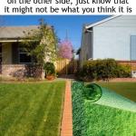 Greener Grass Could Be Astroturf