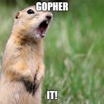 gopher | GOPHER; IT! | image tagged in gopher | made w/ Imgflip meme maker