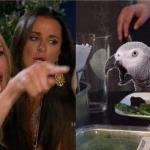 Woman Yelling at Parrot