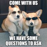 Corgis in suits | COME WITH US; WE HAVE SOME QUESTIONS TO ASK | image tagged in corgis in suits | made w/ Imgflip meme maker