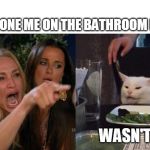 Woman yelling at a cat | YOU DONE ME ON THE BATHROOM FLOOR; WASN'T ME | image tagged in woman yelling at a cat | made w/ Imgflip meme maker