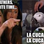 Woman Yelling at Parrot | OMG FEATHERS, ITS NITE-NITE TIME... LA CUCARATCHA,   LA CUCARATCHA... | image tagged in woman yelling at parrot | made w/ Imgflip meme maker