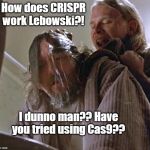 Where is the Money Lebowski | How does CRISPR work Lebowski?! I dunno man?? Have you tried using Cas9?? | image tagged in where is the money lebowski | made w/ Imgflip meme maker