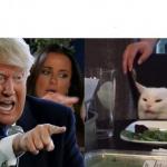 Trump Yelling At Cat meme