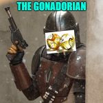 Mandy | THE GONADORIAN | image tagged in mandy | made w/ Imgflip meme maker