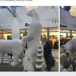 MATING TIME WITH ICE BEARS!!!!!!!!!!!!!!!!!!!!!!!!!!!!!!!!!!!!