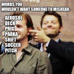 Richard Speight Jr and Misha Collins | WORDS YOU WOULDN'T WANT SOMEONE TO MISHEAR:; . AEROSOL
. DECK
. PRIG
. PARKA
. SHIFT
. SOCCER
. PITCH | image tagged in richard speight jr and misha collins | made w/ Imgflip meme maker