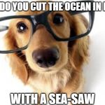Can i help you? | HOW DO YOU CUT THE OCEAN IN HALF? WITH A SEA-SAW | image tagged in can i help you | made w/ Imgflip meme maker