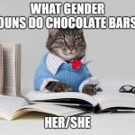 smart cat | WHAT GENDER PRONOUNS DO CHOCOLATE BARS USE? HER/SHE | image tagged in smart cat | made w/ Imgflip meme maker