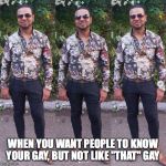 spinhead_73 Follow | WHEN YOU WANT PEOPLE TO KNOW YOUR GAY, BUT NOT LIKE "THAT" GAY | image tagged in spinhead_73 follow | made w/ Imgflip meme maker