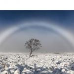 White Rainbow