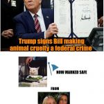Now marked safe | Trump signs Bill making animal cruelty a federal crime; NOW MARKED SAFE; FROM | image tagged in marked safe,woman yelling at cat,trump,animal cruelty bill,memes,humor | made w/ Imgflip meme maker