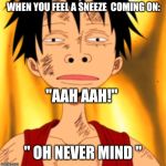 Luffy Huh | WHEN YOU FEEL A SNEEZE  COMING ON:; "AAH AAH!"; " OH NEVER MIND " | image tagged in luffy huh | made w/ Imgflip meme maker
