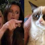 Woman Yelling at Grumpy Cat