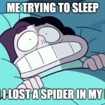 Steven Universe Images | ME TRYING TO SLEEP; AFTER I LOST A SPIDER IN MY ROOM | image tagged in steven universe images | made w/ Imgflip meme maker