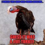 Happy Thanksgiving flippers | I SWEAR THIS BIRD WAS SWING DANCING .. GUESS IT WAS A JIVE TURKEY | image tagged in jive turkey | made w/ Imgflip meme maker