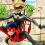 Cat noir jumping on ladybug meme
