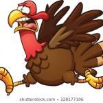 Turkey on the run