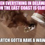 Cocoa | WHEN EVERYTHING IN DELAWARE OR ON THE EAST COAST IS CLOSED.. BARTCH GOTTA HAVE A WAWA.. | image tagged in cocoa | made w/ Imgflip meme maker