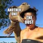 Another one Bites the Dust | ANOTHER ONE; THE DUST | image tagged in camel bite,another one bites the dust,another one,the dust | made w/ Imgflip meme maker