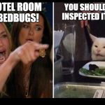 Bedbugs in my hotel room! | MY HOTEL ROOM HAS BEDBUGS! YOU SHOULD HAVE INSPECTED IT FIRST | image tagged in woman and cat meme,bedbugs,hotel,travel,woman yelling at cat | made w/ Imgflip meme maker
