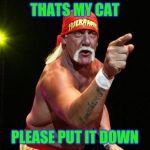 Hulk Hogan | THATS MY CAT; PLEASE PUT IT DOWN | image tagged in hulk hogan | made w/ Imgflip meme maker