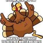Turkey | IT'S FINE WITH ME IF YOU; WANT TO SKIP STRAIGHT TO THE OTHER WINTER HOLIDAYS! | image tagged in turkey | made w/ Imgflip meme maker