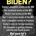 Trump nepotism hypocrisy Hunter Biden meme