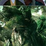 Quizzing Treebeard meme