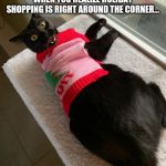 X-Mas'ied Cat | WHEN YOU REALIZE HOLIDAY SHOPPING IS RIGHT AROUND THE CORNER... | image tagged in x-mas'ied cat | made w/ Imgflip meme maker