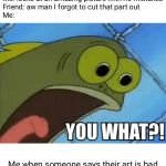 YOU WHAT! | Me: looks at an amazing picture with no mistakes
Friend: aw man I forgot to cut that part out
Me:; Me when someone says their art is bad | image tagged in you what | made w/ Imgflip meme maker