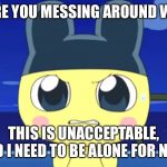 Angry Mametchi | WHY ARE YOU MESSING AROUND WITH ME; THIS IS UNACCEPTABLE, AND I NEED TO BE ALONE FOR NOW | image tagged in angry mametchi | made w/ Imgflip meme maker