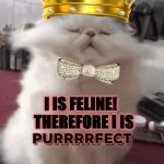 I'M PURRFECT | I IS FELINE! THEREFORE I IS | image tagged in i'm purrfect | made w/ Imgflip meme maker
