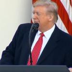 Trump whatever