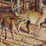 Deer Season