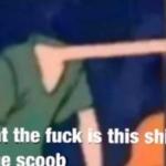 like what the fuck is this shit above me scoob? meme