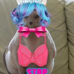 STOP | STOP; LAUGHING | image tagged in stop | made w/ Imgflip meme maker