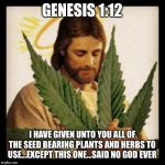 Dat evol errb gone gitcha! | GENESIS 1:12 I HAVE GIVEN UNTO YOU ALL OF THE SEED BEARING PLANTS AND HERBS TO USE...EXCEPT THIS ONE...SAID NO GOD EVER | image tagged in weed jesus | made w/ Imgflip meme maker