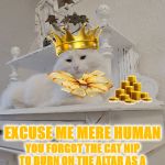 ARROGANT TURD | EXCUSE ME MERE HUMAN; YOU FORGOT THE CAT NIP TO BURN ON THE ALTAR AS A SACRIFICE TO ME, THE FLAWLESS TURKISH ANGORA SUPREME FELINE! | image tagged in arrogant turd | made w/ Imgflip meme maker