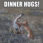Dinner hugs | DINNER HUGS! | image tagged in predator prey,dinner,memes,funny | made w/ Imgflip meme maker