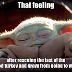 Captain Tryptophan | That feeling; after rescuing the last of the sliced turkey and gravy from going to waste | image tagged in baby yoda,thanksgiving,turkey,tryptophan,humor | made w/ Imgflip meme maker