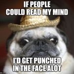 pug life | IF PEOPLE COULD READ MY MIND; I'D GET PUNCHED IN THE FACE ALOT | image tagged in pug life | made w/ Imgflip meme maker