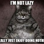 Lazy Cat | I'M NOT LAZY; I REALLY JUST ENJOY DOING NOTHING | image tagged in lazy cat | made w/ Imgflip meme maker