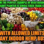-Someone's greed but it official called danger | -FROM THE PERFECT EXAMPLE OF VEGETARIAN TILL EXTRAVAGANT PLANTER IS SINGLE FIXED TRADE EXCHANGE; WITH ALLOWED LIMITS ON MANY INDOOR HEMP BUSHES. | image tagged in vegetables,smoke weed everyday,vegetarian,food memes,steps,eating healthy | made w/ Imgflip meme maker